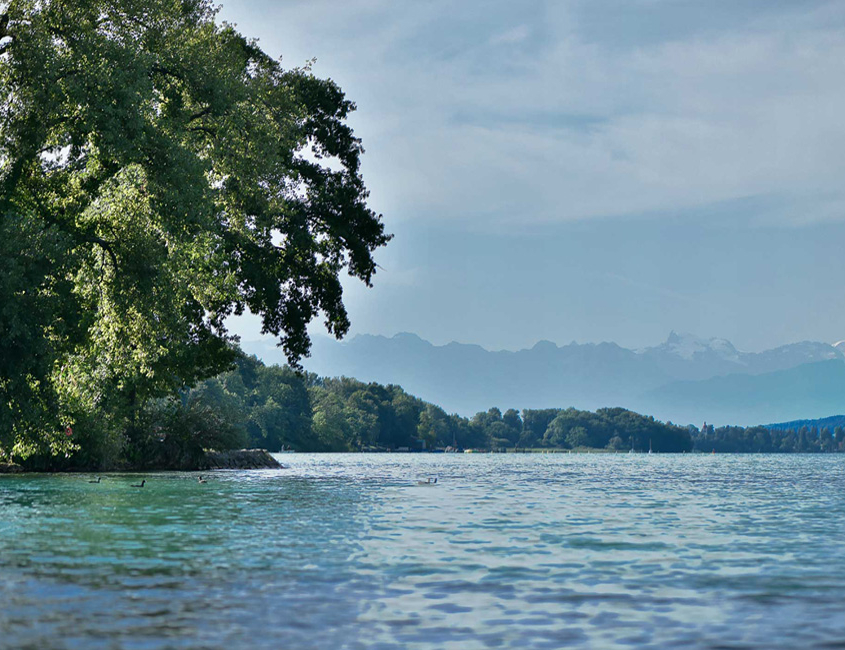 00__Seeblicklickhuus_See Hallwilersee
